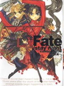 Fate/stay night 血战篇
