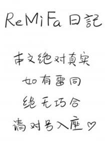 ReMiFa日记