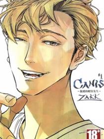 CANIS－亲爱的帽客先生－