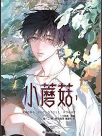 小蘑菇