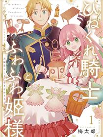 乖僻骑士与轻飘飘公主 ~ 古城生活与小小的家