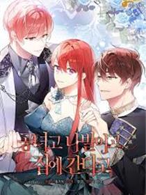 管他什么公女 我要回家