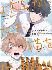 无声的狗抚摸猫