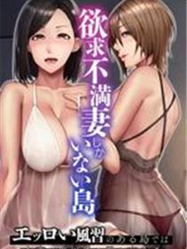 夜袭人妻许可的岛屿