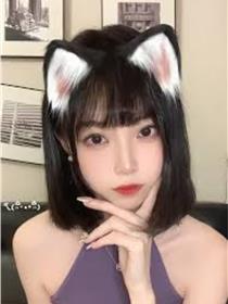 许岚LAN