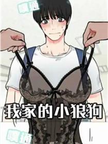 我家的小狼狗