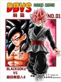 龙珠DBVS 梦幻对决