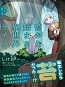 从草开始的异世界生活