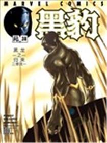 黑豹V3