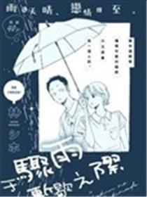 于骤雨暂歇之际