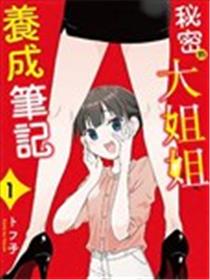 秘密的大姐姐养成笔记